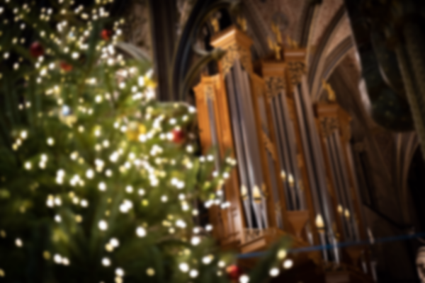 Worcester Cathedral organ next to a Christmas tree